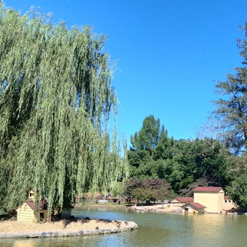 Thanks for Being&nbsp;Here